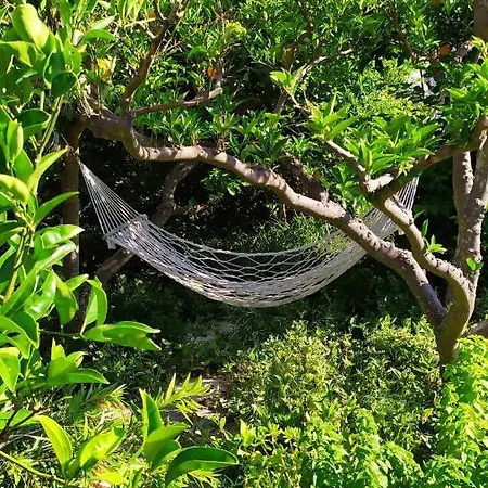 Lejlighed Pina Lumbarda