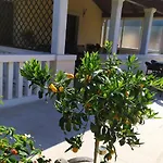 Pina Apartament
