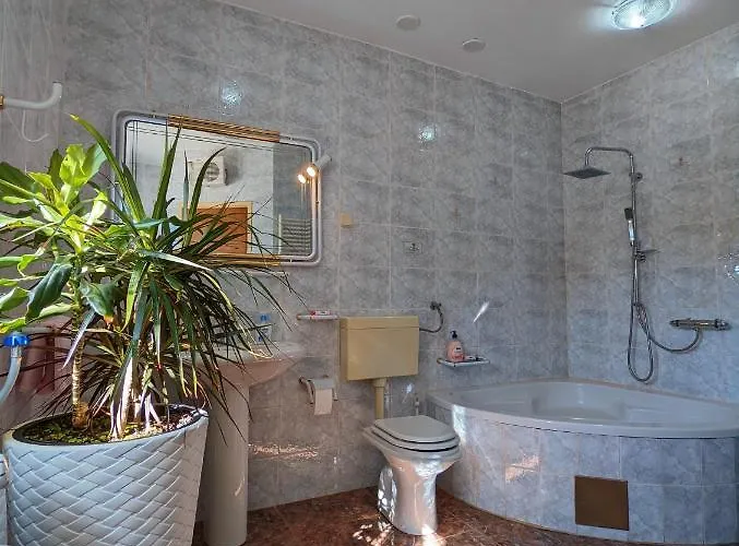 Διαμέρισμα Pina *