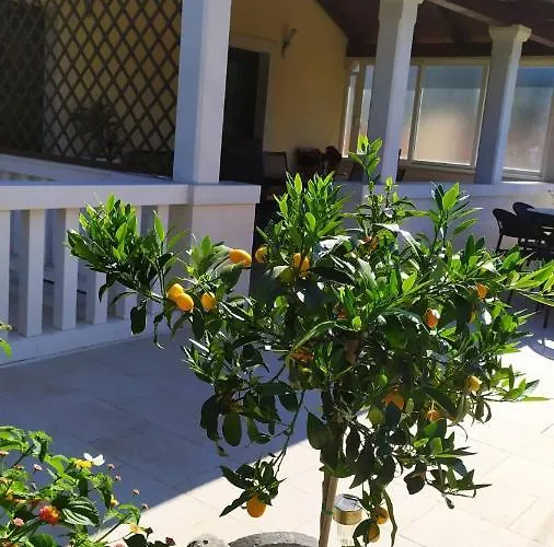 Pina Διαμέρισμα