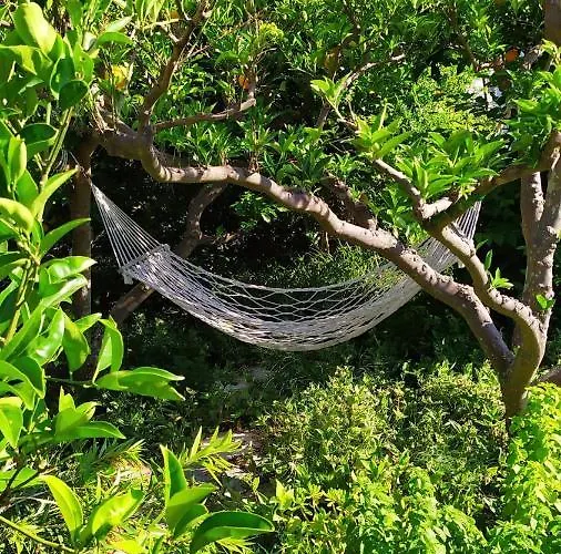 Διαμέρισμα Pina Λομπάρδα